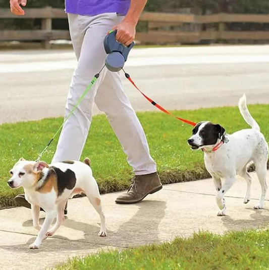 Dual Comfort Reflective Dog Leash